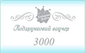 ��������� ����� 3000